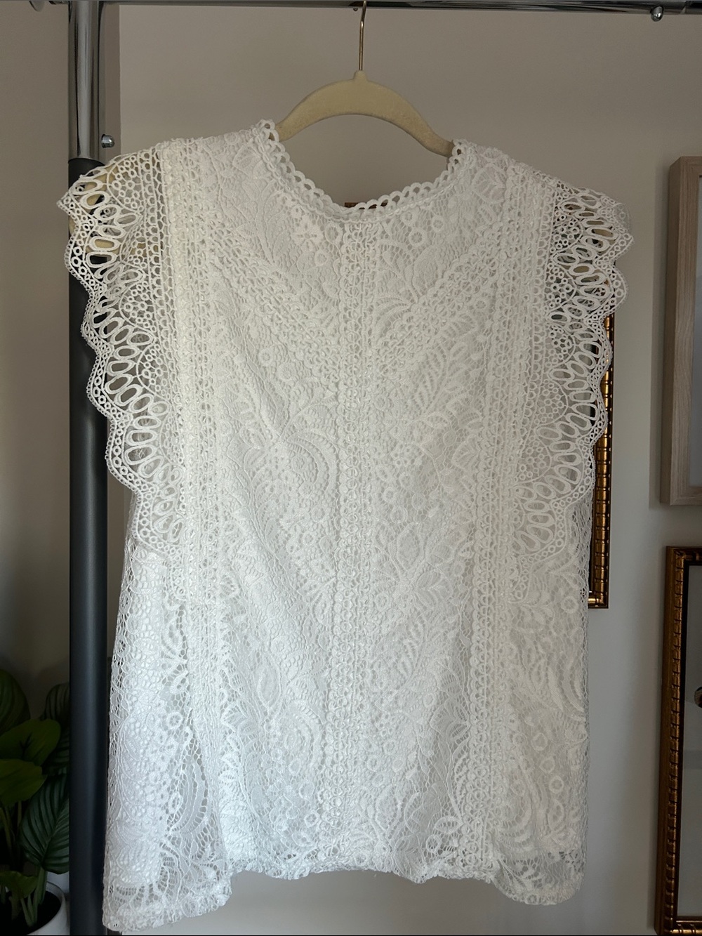 Cable & Gauge M White Lace Flutter Sleeve romantic feminine spring Top